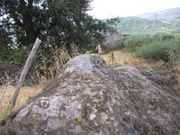 gale-20120725 068